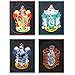 HP2 Harry Potter Young Adult Robe Halloween Costume ALL 4 HOUSES S-XXL USA