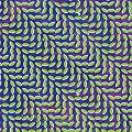Merriweather Post Pavilion