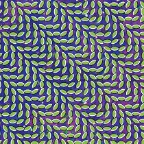 Merriweather Post Pavilion