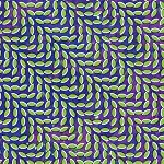 Merriweather Post Pavilion