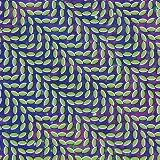 Merriweather Post Pavilionby Animal Collective