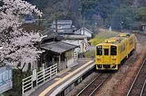 にっぽん木造駅舎の旅 [DVD]