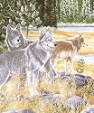 3 WOLVES 79"x95" Polyester Novelty Blanket By Golden Keepsakes
