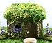 Thimble Fairy House