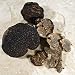 Fresh Black Winter Truffles from Italy - 1-2 pieces, 1 oz