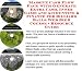 Book Massive Cash Flow Pack with Generate Extra Cash, Inner Game and Accounting & Finance for Billiard Balls Web Biz 3 Course + Resource Guide