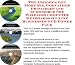 The Insider's Get More Biz, Godfather Principles and eCommerce for Wireless Computer Keyboards On-line Businesses 3 CD Power Pack