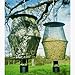 The Hive Automatic Wildlife Feeder