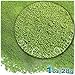 The Crafts Outlet 1-oz/28-g Metallic Finish, Glass, Microbeads 0.6mm, Ideal for Caviar Nails, Metallic Gold