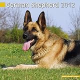  Kalender 2012...