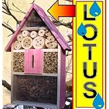Produkt-Information