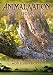Animal Nation - On The Leopard's Tail [DVD]