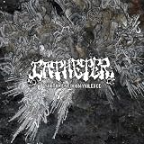 Southwest Doom Violence