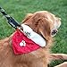 ZippyPaws Holiday Paw Bandana - Christmas Dog Accessory (3 Sizes) (Large)