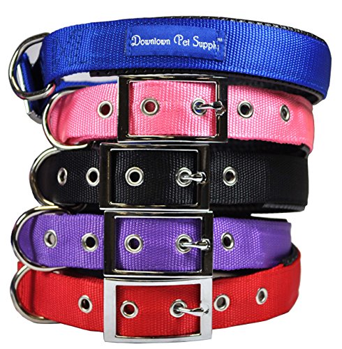 Deluxe Adjustable Thick Comfort Padded Dog Collar, Large, Blue, by Downtown Pet Supply