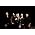 Thumbnail image of Grace Potter & the Nocturnals