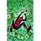 Amazing Spider-Man Brand New Day