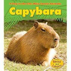 Capybara (A Day in the Life: Rain Forest Animals)