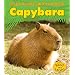Capybara (A Day in the Life: Rain Forest Animals)