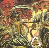 Paranoid Delusions Paradise Illusions