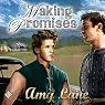 Making Promises: Keeping Promise Rock, Book 2