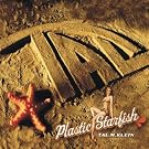 Plastic Starfish
