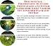 The Special Promotion, Success Principles and Inner Game for Golf Videos On-line Biz Package (3 CDs)