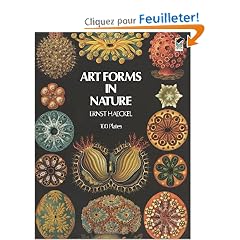 Art Forms in Nature