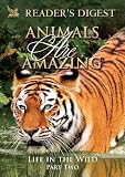 Animals Are Amazing: Life in the Wild: Part Two