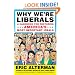 Why We're Liberals: A Handbook for Restoring America's Most Important Ideals