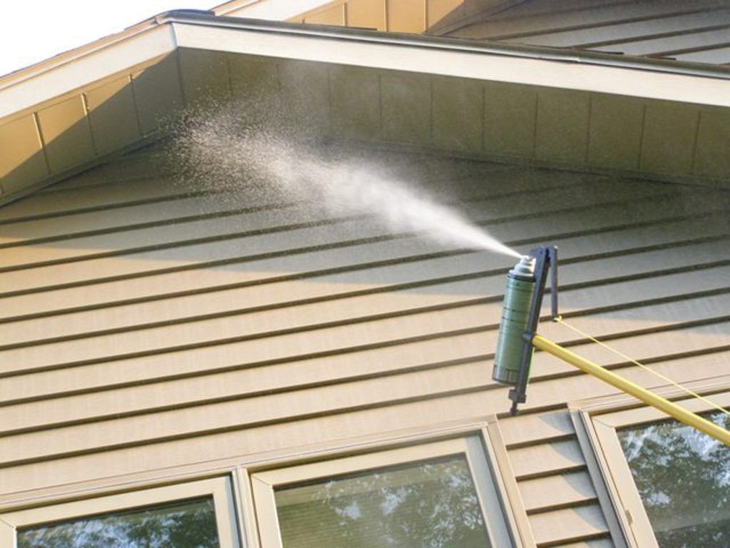 Wasp Wand WW001WEB Extendable 2Piece Fiberglass Pole with Spray Can