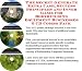 The Special How To Earn Extra Money, Marketing and Success Principles for Bodybuilding Equipment On-line Businesses 3 CD Course