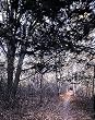 Appalachian Trail Photograph - Beautiful 16"x20" Photographic Print by Carol M. Highsmith