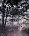 Appalachian Trail Photograph - Beautiful 16"x20" Photographic Print by Carol M. Highsmith