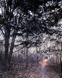 Appalachian Trail Photograph - Beautiful 16"x20" Photographic Print by Carol M. Highsmith