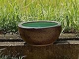水鉢　信楽　きんそば　水鉢