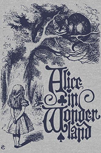 Womens Cheshire Cat Vintage Alice in Wonderland Illustration Dolman T-Shirt, X-Small, Heather Grey