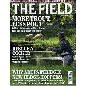 Field - England by