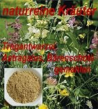 Produkt-Bild: Tragantwurzel, Astragalus, B&auml;renschote, gemahlen, 100g (69,00Euro/kg)