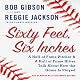 Sixty Feet, Six Inches: A Hall of Fame Pitcher and a Hall of Fame Hitter Talk about How the Game Is Played