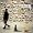 Evidence - Cats & Dogs