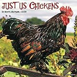 2016 Just Us Chickens Wall Calendar