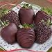 6 Dreamy Dark Chocolate Covered Strawberries