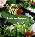Sunflower Sprouting Seeds - 30 Grams - Mild Taste