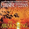 The Awakening: Leopard Series, Book 1