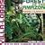 Villa Lobos Forest of the Amazon
