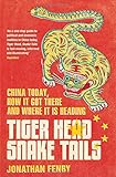 Tiger head, snake tails : China today, how it got there and why it has to change
