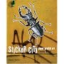 Sticker City: Paper Graffiti Art (Street Graphics / Street Art)