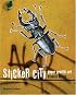 Sticker City: Paper Graffiti Art (Street Graphics / Street Art)