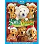Santa Buddies (Two-Disc Blu-ray/DVD Combo) [Blu-ray]